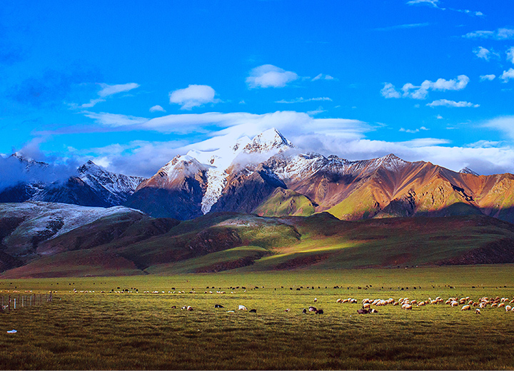 һ��һ��Ҫȥһ�εĵط��������أ�